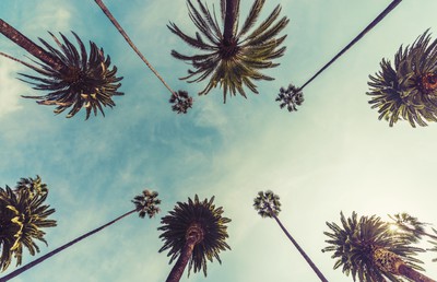 California Dreamin': Operators Hopeful CA Sports Betting Initiative Prevails in Nov.