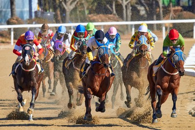 Churchill Downs Inc. Wants to Sell Horse Racing Content to Other Sportsbooks