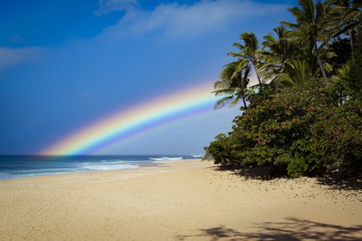 Online Poker in Hawaii – Senate Bill Proposes Single Operator Online Sports Betting & Poker for Wildfire Relief
